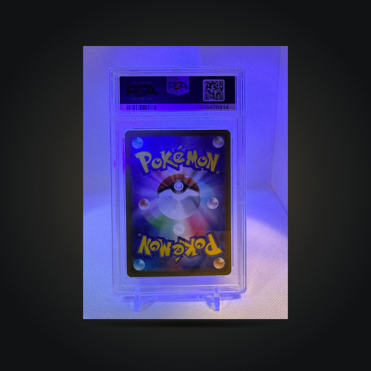 Pokémon Heat Wave Arena Cynthia's Roserade #065 PSA 10 (Japanese) — back of card in PSA holder under blue-purple lighting