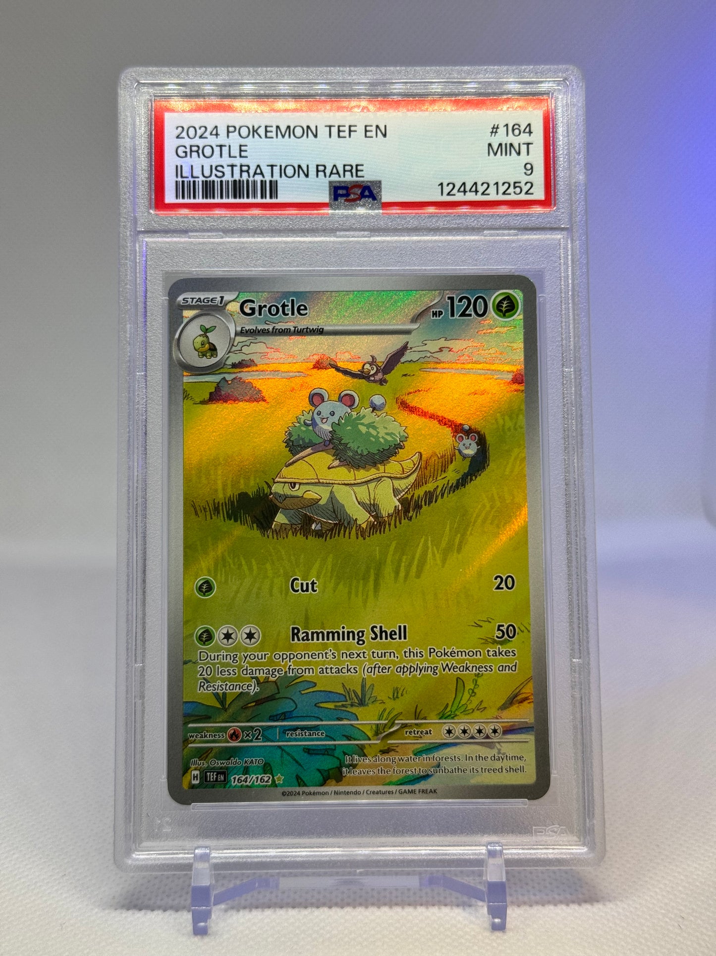 SV Temporal Forces: 164/162 - Grotle (IR) PSA 9