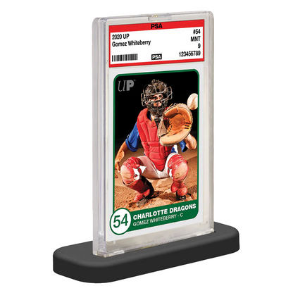 Ultra PRO 10 Ct PSA Graded Card Stand Collectible Trading Cards Holder Protector